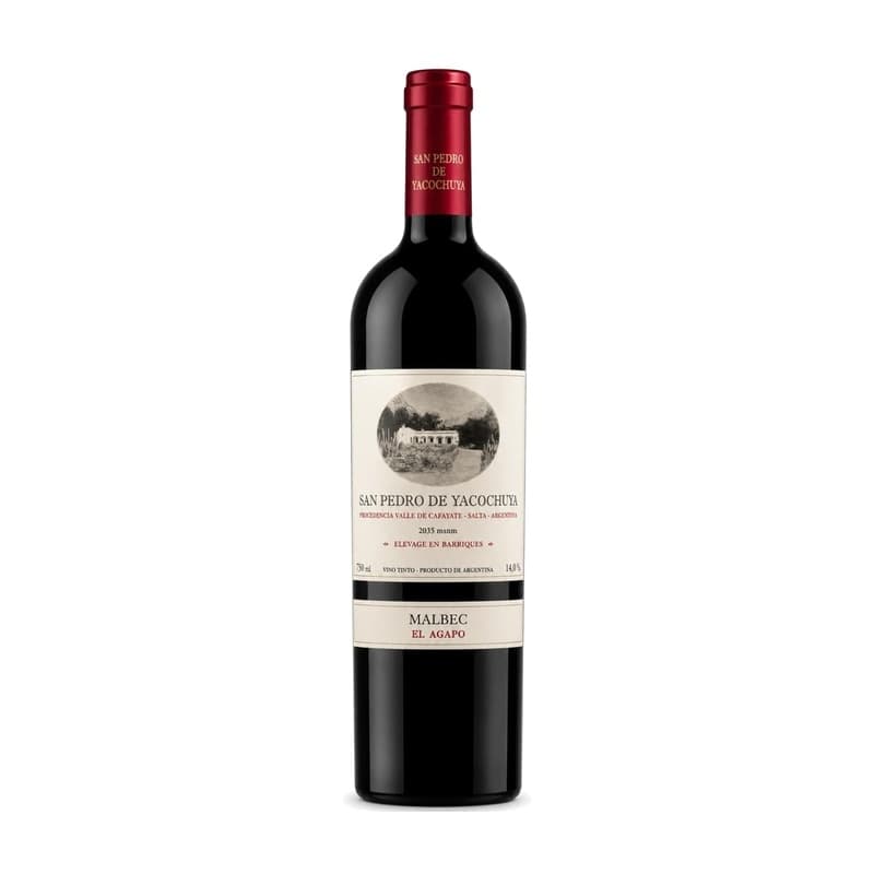 San Pedro Yacochuya Malbec Edición Limitada "El Ágapo"